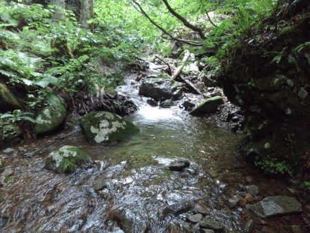 沢を３本釣り上がる ～長良川水系～